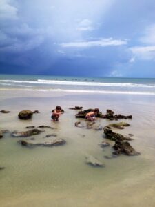Little boys in tide pool