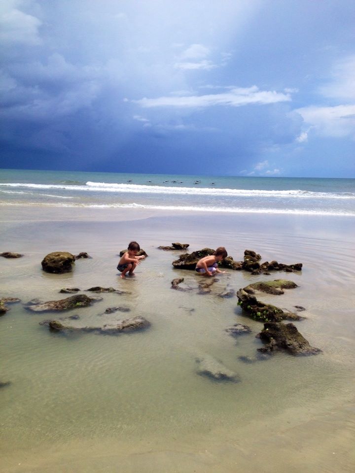 Little boys in tide pool